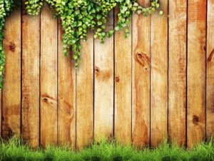 Bright Vibrant Timber Fence